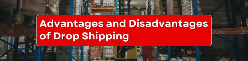 advantages and disadvantages of drop shipping