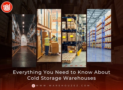 Everything You Need to Know About Cold Storage Warehouses